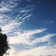 重案组之虎曹达华