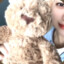 小李不胖