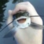 The Fishiest Fish Ever!