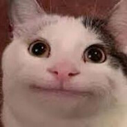Kitty