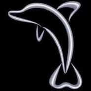 dolphin