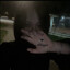 M1kage's avatar