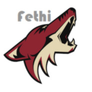 Fethi