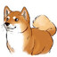 King Doge