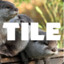 tileOtter