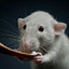 small mouse