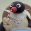 Born To Noot