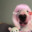 pickletickle16 avatar