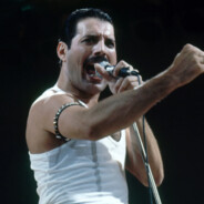 FREDDIE