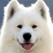 沐羽(•́₃•̀)