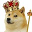 King Doge