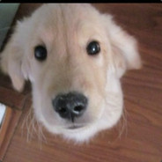 小小小小小小小小白菜