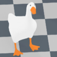 Goose_18