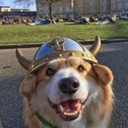 The floofiest viking