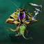 the mollusk