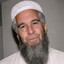 Osama Bin Epstein
