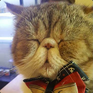 看见我的98k了吗