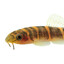 Loach