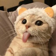 叽里咕噜说啥呢