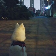 来自长沙的影帝