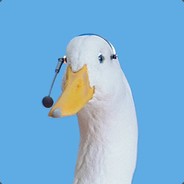DUCK GAMING