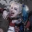 Harley Quinn