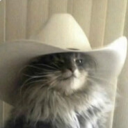 Revolver cat