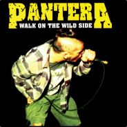 Toerka - steam id 76561197971701390