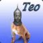 Teo