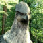 BuckBeak™