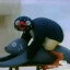 PINGU