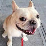 王二狗的空大之路