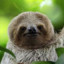 SlothHelper