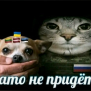 2 ХАЕШКИ, MOLIX