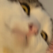 chau