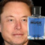 elon musk azul