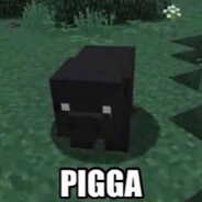 Pigga - steam id 76561199766410566