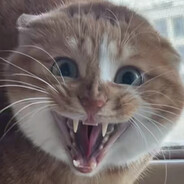 哈基米南北绿豆