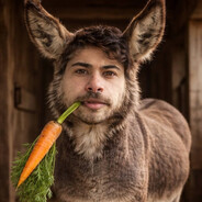 DAN1X