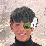 理塘传说の最强猛虎突