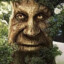 Wise Treant