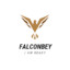 FalconBey İS BACK