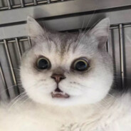 抱紧小熊