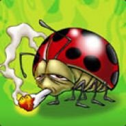 OrcaStreet ㋡•̪̀●