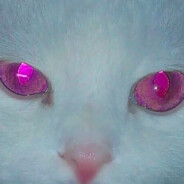 我是Apex的萌新，你可以叫我派蒙