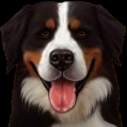 DiamondDogHamm - steam id 76561197971778858