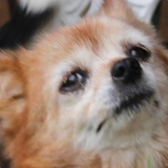 Kraggy