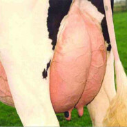 tniksss - steam id 76561199800568060