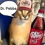 Floppa l Dr. Pebba
