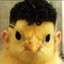 SoLi -